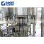 Factory supply 1 gallon automatic water filling bottling machine for low price