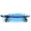 Mini skateboard for adults fish cruiser longboard for beginners small size EC-FC01