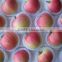 Weihai E-Fashion PE Foam Fruit Net Extruder