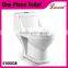 Economic Porcelain Washdwon gravity flushing wc one piece Toilet
