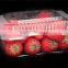 PET material hard plastic food grade strawberry packaging boxes