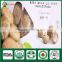 Organic Fresh Dry Edibal Mushroom Cultivation China Supplier Seller Shiitake Mushroom Growing Kit