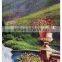 Fashional embroidered design fabric tapestry with custom design
