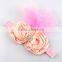 Wholesale 2015 New Baby Fashion Accessory Cute Girls Hair Rose Flower Headband With Diamond