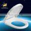 D Shape UF Toilet Seat