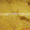 rice bran oil