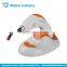 7W Denjoy Orange Led Curing Light Dental, Wireless Led Curing Lamp