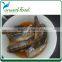 Canned Mackerel in Vegetable Oil