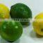 ADALIA YELLOW LEMON