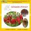 SCHISANDRA CHINENSIS EXTRACT