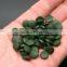 Spirulina Powder from GMP Certified Manufacturer