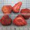 Freeze Dried Strawberry Slice