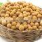 Soybeans Kernel