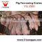 Pig Farm Farrowing House For Sale Farrowing Stall