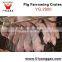 pig equipment Hot-dip Galvanized Pig Farrowing Crate Pig Farrowing Crate For Pigs