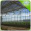 High Quality Glass Greenhouse Kits Wholesale