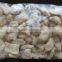 Direct Factory Price hotsell nutritional soya food extruder