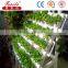 pe Irrigation Pipe