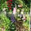 Made in China grass flower wall artificial plants wall for garden and interior decoration
