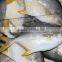 golden pomfret landfrozen