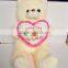 Teddy Bear Plush Toy Valentine's Day Gift