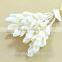 Bamboo Shoot Sola Flower Aroma Diffuser With Reed or Cotton Rope