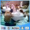 Giant Gold Wings Inflatable Pegasus Pool Float Water Floats