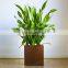 Various Designs Decorative Metal Planter for Outdoor Garden Decoration