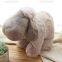 Teddy bear price in china in usa