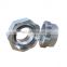 dn25 carbon steel npt male double threaded butt weld swage concentric nipple