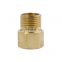 1/2 - 4 Inch Factory Provide Directly Good Selling Spring Water Brass In-line Spring Vertical Check Valve