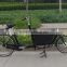 Electric carrier cargo bicycle with alloy box