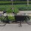 Electric carrier cargo bicycle with alloy box