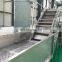 tomato washing and sorting machines