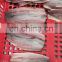 IQF frozen clean sardine fish fillet for processing