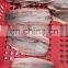 IQF head off tail off clean sardine fish fillet for processing