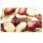 Portable Electric Fruit Food Dehydrator Machine/Household domestic vegetable fruit spinner food freeze dryer drying machine