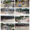 Hot sale tomato washing cutting processing line