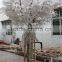 Factory new products artificial ficus tree for decoration on sale
