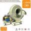 Environmental Protection And Durability Of The Centrifugal Ventilation Exhaust Duct Fan