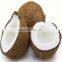 Turn-key engineering coconut water milk extractor extraction processing machinery and equipment for coconut oil production line