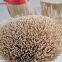 natural and blench  mao bamboo stick