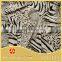 Printed Nylon Spandex Knitting Fabric for Intimate Clothes/Tiger Animal Printing Swimwear Fabric