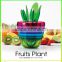 Multifunction Fruits salad cutter plant