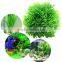 Hot Sale 2015 New Arrival Beautiful Aquarium Plastic Green Seaweed Moss Ball Decoration For Fish Tank