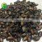 sweet melon seed china supplier