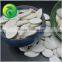 Dried Pumpkin Seed China Supplier