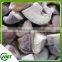 Frozen Iqf Shiitake Mushroom/champignon/xianggu/lentinus Edodes