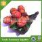 Resin 3D Fridge Magnet , Fruit Fridge Magnet , Promotional Fridge Magnet