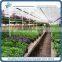 PC Sheet / Polycarbonate Greenhouse for flower growing